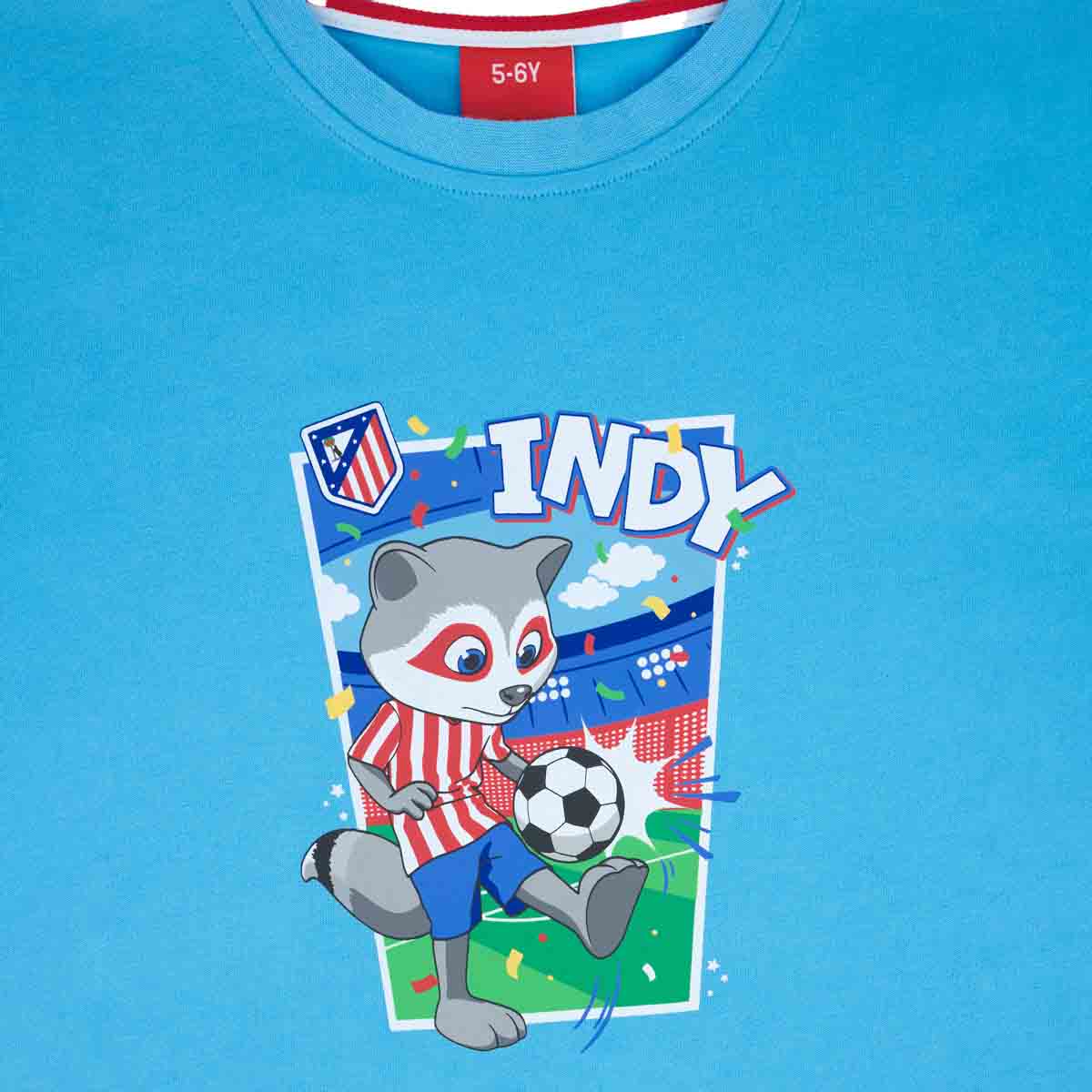 Indy light blue t-shirt image number null